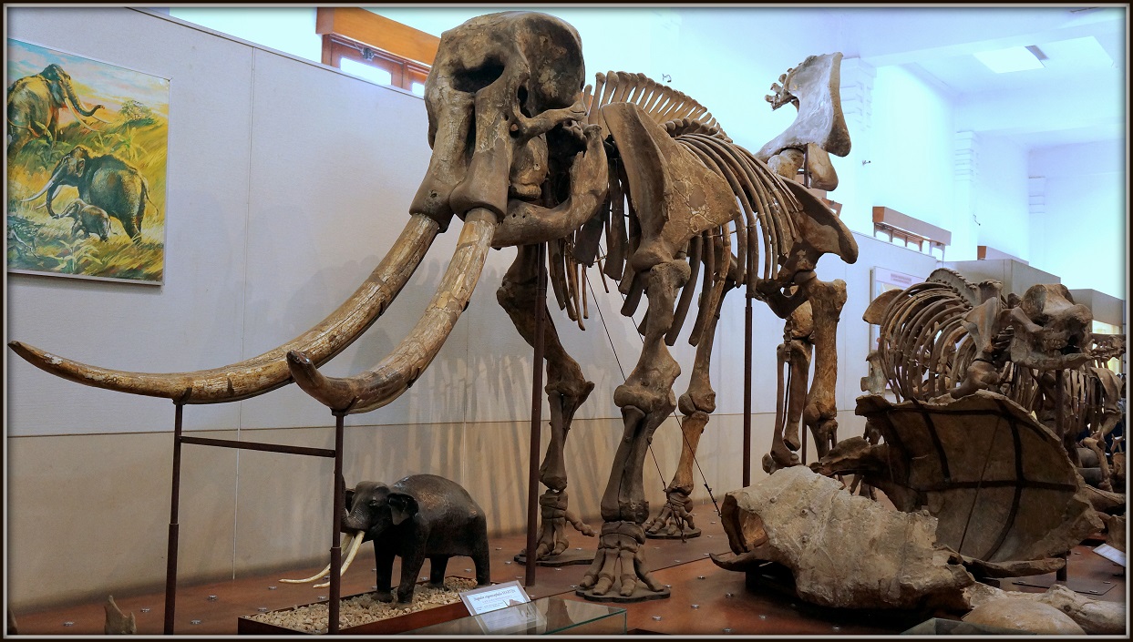 المتحف البيولوجي في باندونق